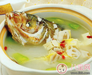 絲瓜可以催奶嗎 絲瓜催奶湯做法大全