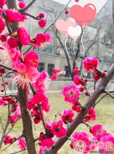春天你好迎接春天的說說圖片 感受春天的氣息心情說說朋友圈 春天你好迎接春天的說說圖片 感受春天的氣息心情說說朋友圈