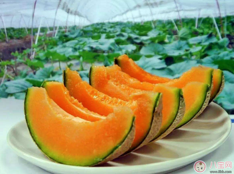 孕婦能不能吃哈密瓜 孕婦吃哈密瓜對(duì)胎兒有什么好處