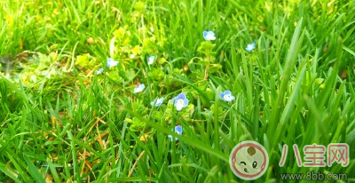 2018天氣回暖了怎么發(fā)朋友圈 天氣變暖萬物復(fù)蘇的配圖說說