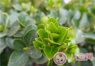 一個人帶孩子很累的心情感慨 媽媽獨自帶孩子的感受體驗