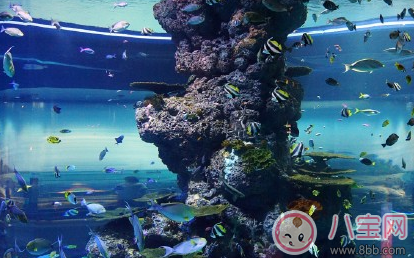 親子游發朋友圈怎么寫 親子游曬娃說說心情