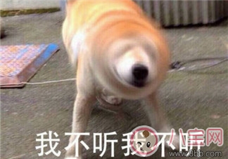 為什么被叫胖子真的會變胖 經常被叫胖子是一種怎樣的體驗