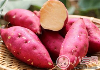 寶寶多大可以吃紅薯 寶寶便秘可以吃紅薯嗎