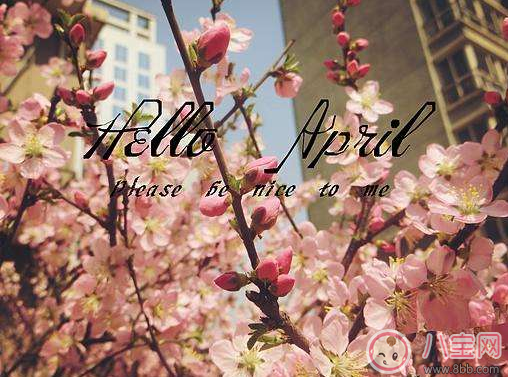 三月再見(jiàn)四月你好圖片 3月再見(jiàn)4月你好說(shuō)說(shuō)