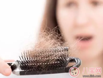 產后脫發會持續多久 為什么產后脫發嚴重