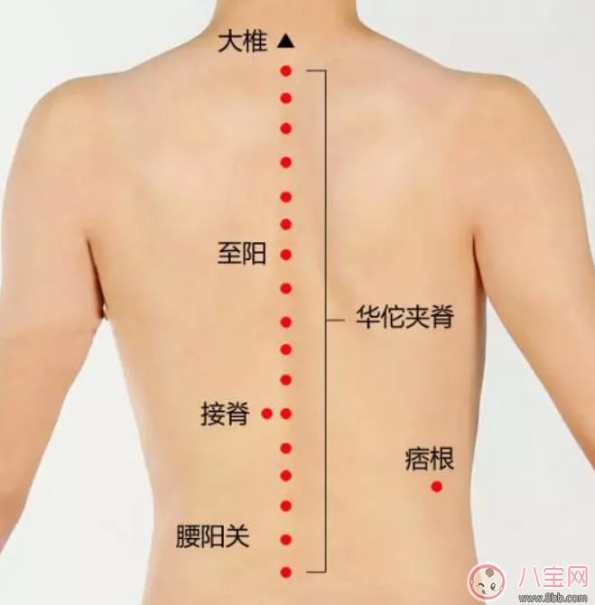 產后排寒怎么艾灸針灸拔罐 哺乳期后腹部一堆肉如何排寒 產后排寒怎么艾灸針灸拔罐 哺乳期后腹部一堆肉如何排寒