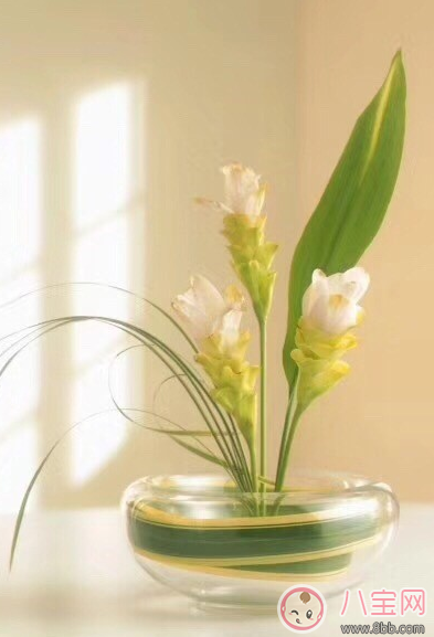 3月再見4月你好的說說句子 4月你好3月再見的說說配圖