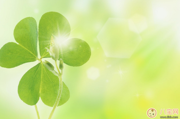 3月再見4月你好的說說句子 4月你好3月再見的說說配圖