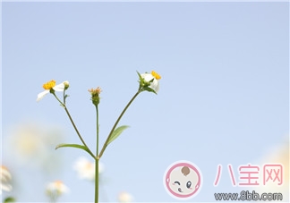 陪孩子幸福長大的句子說說 簡單的幸福就是陪孩子一起成長