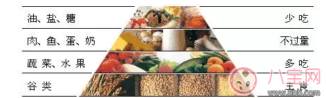 孩子過于肥胖有哪些危害 孩子太胖有哪些影響