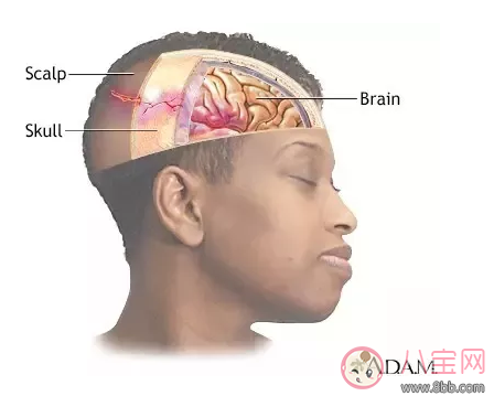 孩子突然從床上掉下來怎么辦 孩子從床上掉下來應急措施
