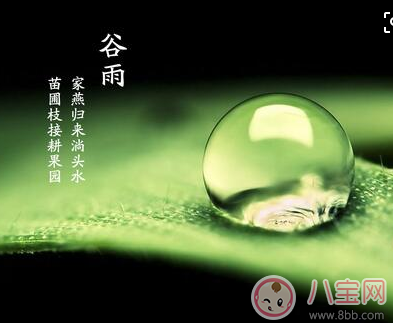 2018谷雨出生的寶寶好不好 谷雨節氣出生的寶寶命運怎么樣