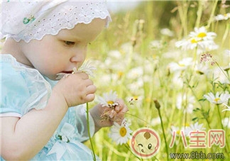 如何通過游戲幫助寶寶感官的發(fā)育 什么樣的感官游戲能促進(jìn)寶寶發(fā)育 如何通過游戲幫助寶寶感官的發(fā)育 什么樣的感官游戲能促進(jìn)寶寶發(fā)育