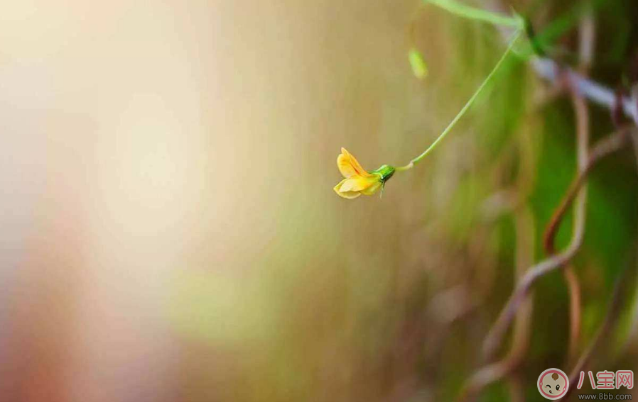 孩子學(xué)習(xí)沒有動(dòng)力怎么辦 怎么促進(jìn)孩子學(xué)習(xí)的上進(jìn)心