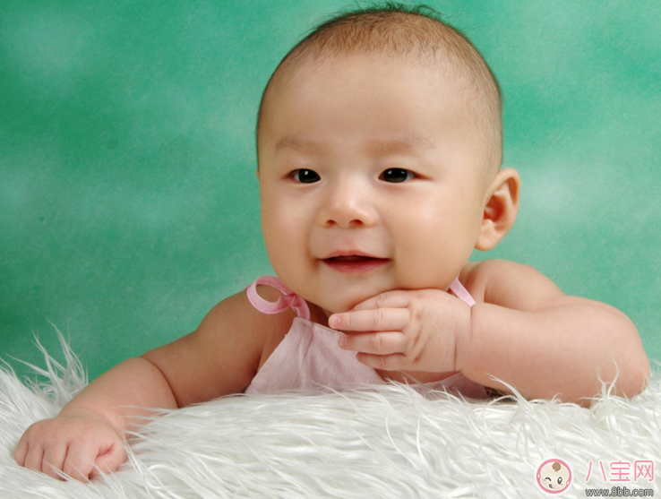 夏天怎樣給寶寶驅蚊 什么植物驅蚊效果最好 夏天怎樣給寶寶驅蚊 什么植物驅蚊效果最好