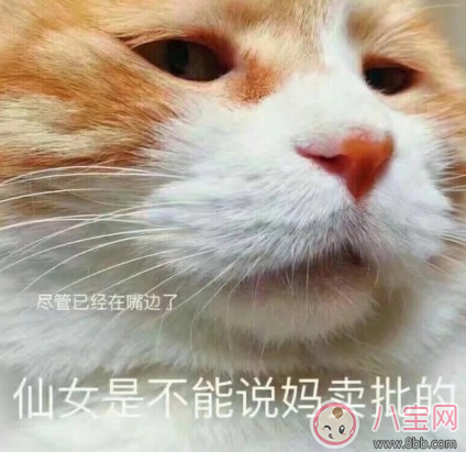 產后哺乳期媽媽的心情感受 哺乳期心情不好的說說朋友圈