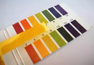 女性護理液哪個牌子好 女性護理液試用測評