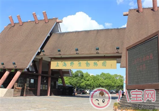 上海有什么地方適合孩子玩 魔都上海最值得兒童玩得地方 上海有什么地方適合孩子玩 魔都上海最值得兒童玩得地方