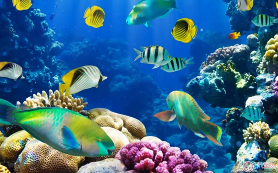 上海有什么地方適合孩子玩 魔都上海最值得兒童玩得地方 上海有什么地方適合孩子玩 魔都上海最值得兒童玩得地方