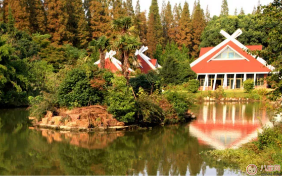 上海有什么地方適合孩子玩 魔都上海最值得兒童玩得地方 上海有什么地方適合孩子玩 魔都上海最值得兒童玩得地方