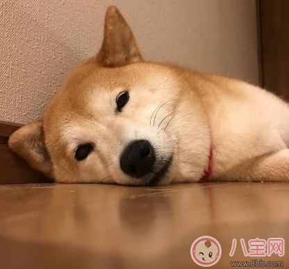 等待下一個假期的說說朋友圈 期待下一個假期的心情說說曬圖 等待下一個假期的說說朋友圈 期待下一個假期的心情說說曬圖