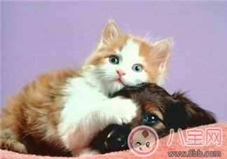 等待下一個假期的說說朋友圈 期待下一個假期的心情說說曬圖 等待下一個假期的說說朋友圈 期待下一個假期的心情說說曬圖