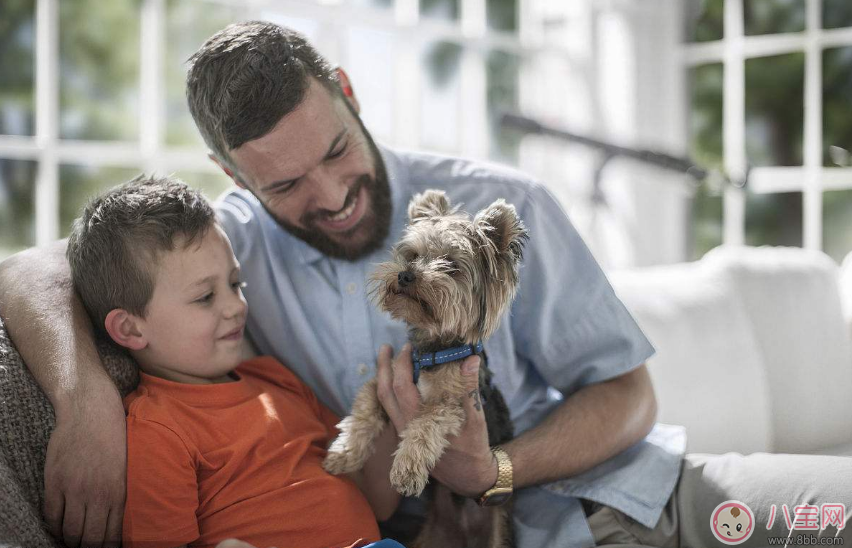 帶男孩的時候要注意哪些 帶男孩的時候和女孩之間有哪些區別 帶男孩的時候要注意哪些 帶男孩的時候和女孩之間有哪些區別