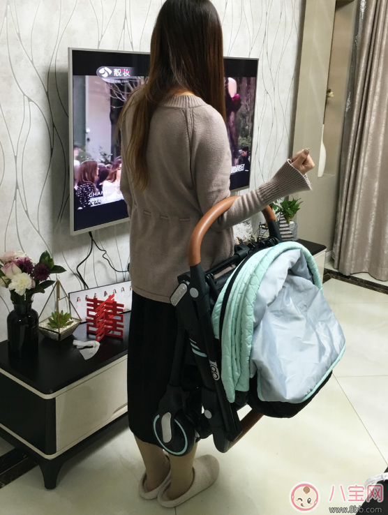 babysing高景觀嬰兒推車怎么樣 babysing嬰兒推車使用測評