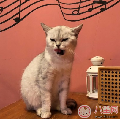 產后減肥的搞笑說說圖片 產后減肥的勵志說說心情