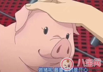 減肥第一天怎么發(fā)說(shuō)說(shuō) 減肥第一天的說(shuō)說(shuō)心情朋友圈