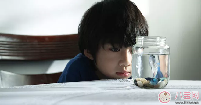 孩子沒有幽默感怎么辦 孩子的幽默感怎么培養