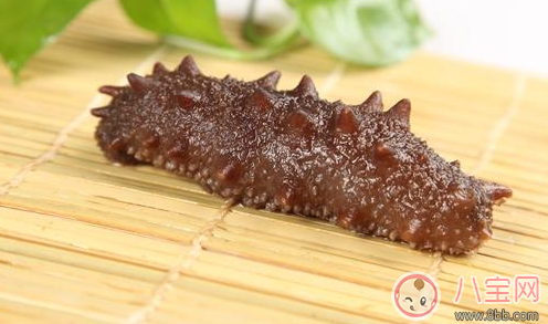 多大小孩可以吃海參 兒童適合吃海參嗎 多大小孩可以吃海參 兒童適合吃海參嗎