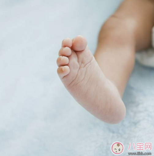 寶寶六個月心情感慨 寶寶滿六個月心情語錄