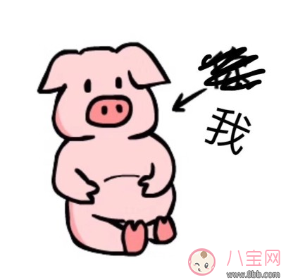 懷孕長胖的說說心情 懷孕長胖的搞笑說說