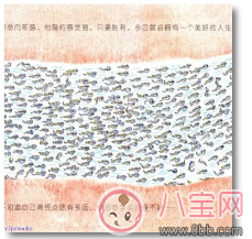 怎么通過繪本來給孩子普及性教育 孩子對性感興趣怎么跟他解釋