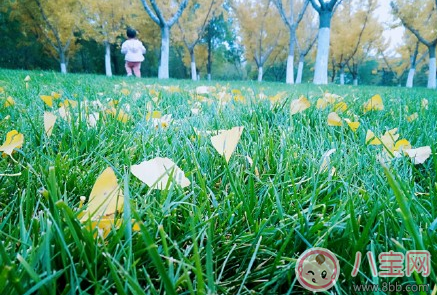 有關周末親子時光的心情句子 周末親子時光就要放肆的笑