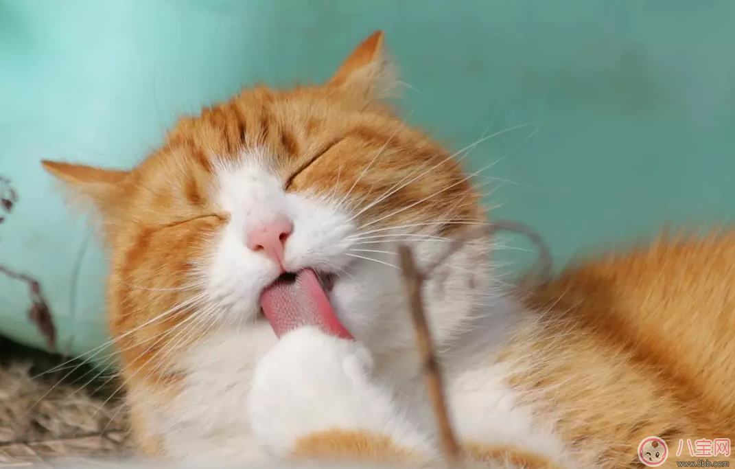 科學備孕重要嗎 怎么健康安全的懷上孩子 科學備孕重要嗎 怎么健康安全的懷上孩子