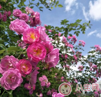 孩子春游朋友圈說(shuō)說(shuō) 孩子春游曬圖心情說(shuō)說(shuō)