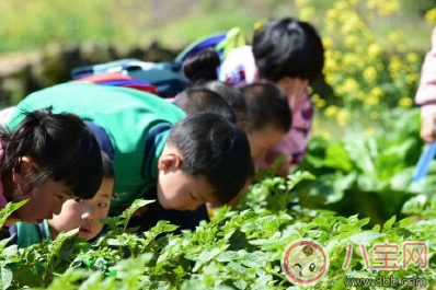 幼兒園春游朋友圈說說 學生春游的心情說說曬圖