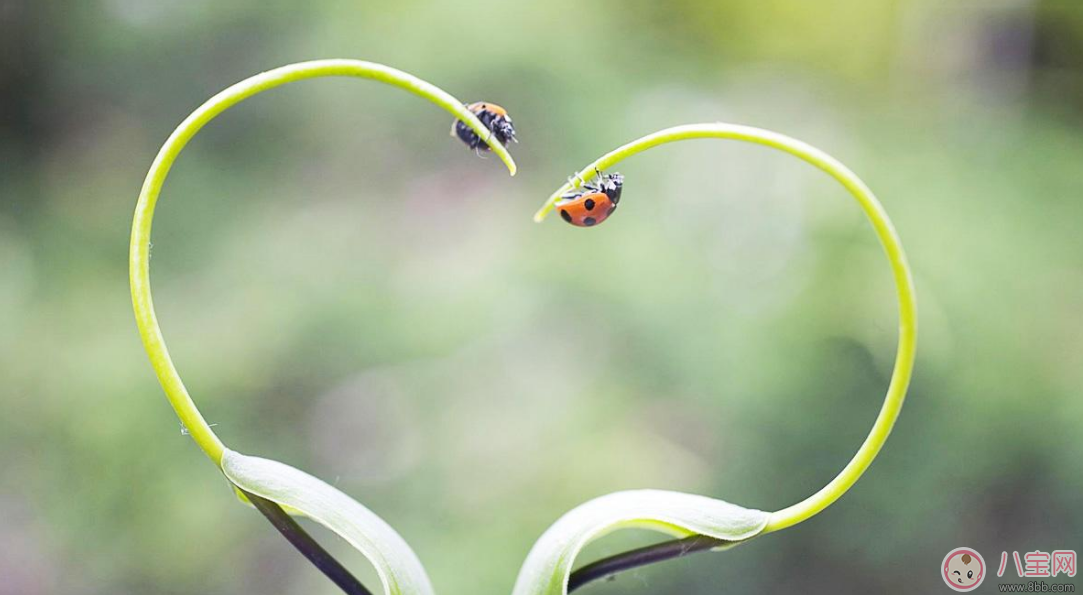 2018今日谷雨發什么說說朋友圈 今日谷雨節氣朋友圈說說配文
