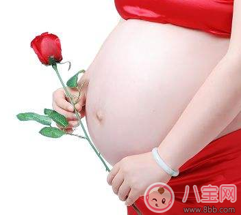 懷孕貧血吃什么補血最快 孕婦貧血食補吃什么好