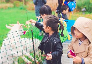 帶孩子旅游的心情短語 帶孩子出去玩的心情說說朋友圈