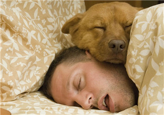 春天為什么睡覺越睡越累 睡得越多對皮膚越好嗎