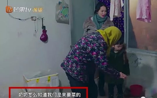 媽媽是超人大麟子干媽是高洋嗎 大麟子干媽是哪一期