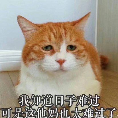 孕吐的說說朋友圈 形容孕吐難受的說說