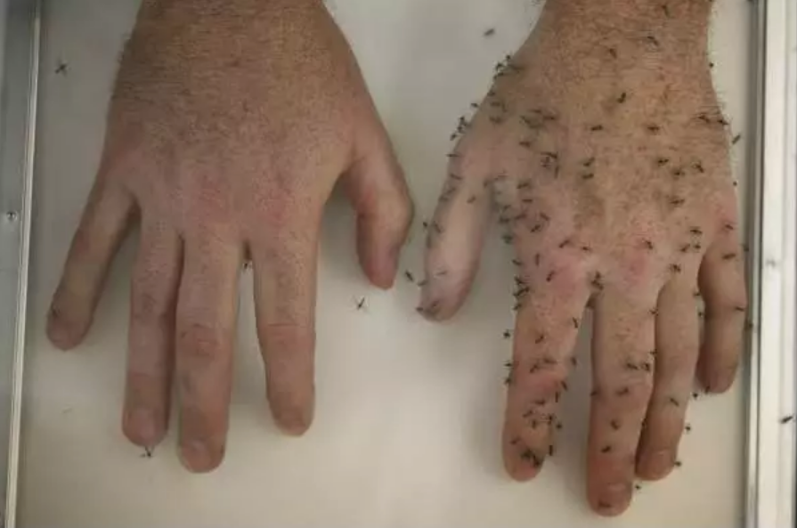 澳洲aerogard驅蚊液效果好嗎 Aerogard驅蚊液寶寶用怎么樣