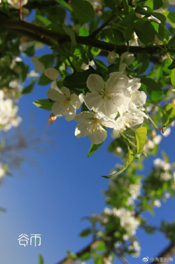 今日谷雨朋友圈說說發(fā)什么好 2018今日谷雨一句話說說