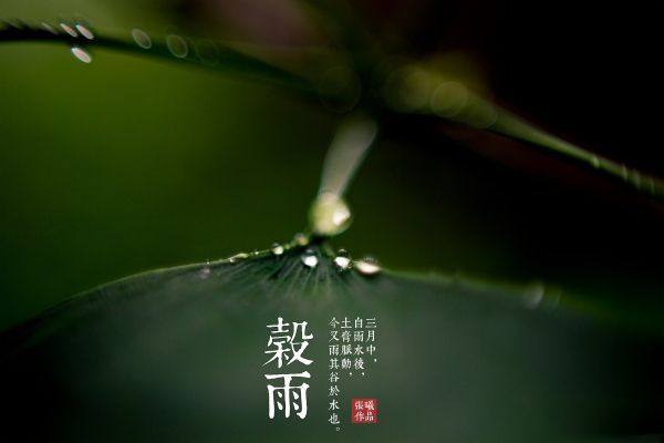 今日谷雨朋友圈說說發(fā)什么好 2018今日谷雨一句話說說