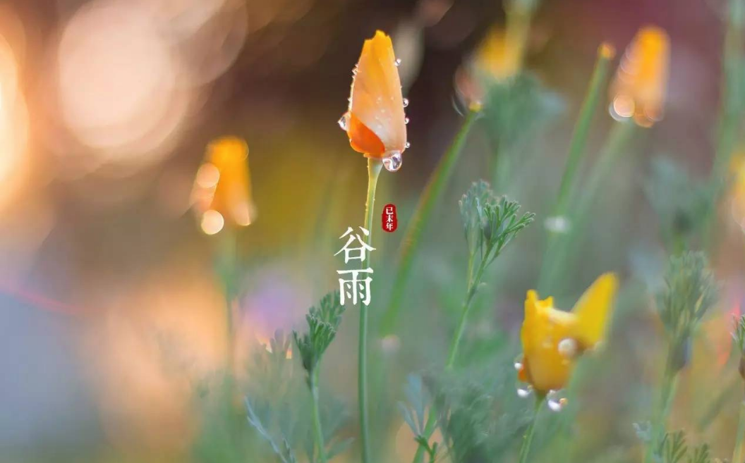 2018谷雨快樂心情說說 谷雨的優(yōu)美句子說說 2018谷雨快樂心情說說 谷雨的優(yōu)美句子說說